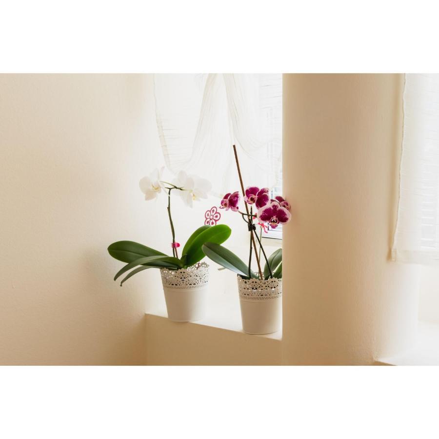Kata'S Place 수보티차 외부 사진